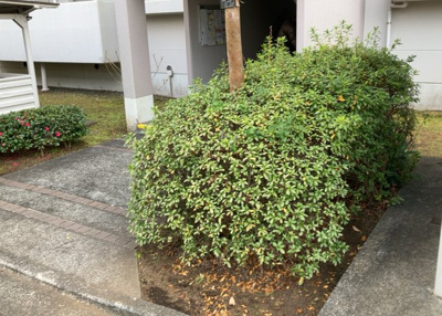 【庭】 | グリーンタウン宮の里１－２号棟 | 物件によっては、入居者が個人的に使用できる専用庭がついているものもあります。また、住宅の中にある土間の部分を庭と呼ぶこともあります。庭の用途は住む人によって変わり、それによってデザインもさまざまです。