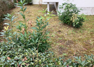 【中庭】 | グリーンタウン宮の里１－２号棟 | 中庭（パティオ）とは、一つの建築物の内部に設けられた、壁などで囲われている庭のことを指します。コの字型、ロの字型が主流ですが、L字型の中庭もあります。最近では、インテリア性の高さからも人気があります。