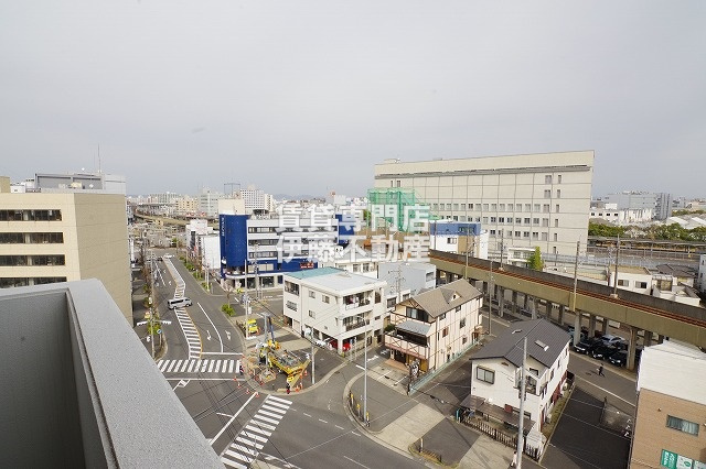 PULCHRA OZONEの展望