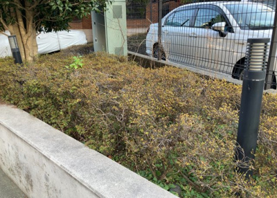 【庭】 | ライドウェーブ相武台 | 物件によっては、入居者が個人的に使用できる専用庭がついているものもあります。また、住宅の中にある土間の部分を庭と呼ぶこともあります。庭の用途は住む人によって変わり、それによってデザインもさまざまです。