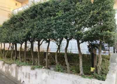 【中庭】 | ライドウェーブ相武台 | 中庭（パティオ）とは、一つの建築物の内部に設けられた、壁などで囲われている庭のことを指します。コの字型、ロの字型が主流ですが、L字型の中庭もあります。最近では、インテリア性の高さからも人気があります。