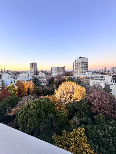 オープンレジデンシア本郷の杜の展望|※写真は同タイプの別室になります