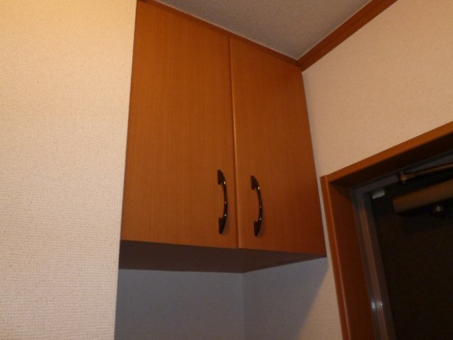 アクアビューの玄関|シューズボックス