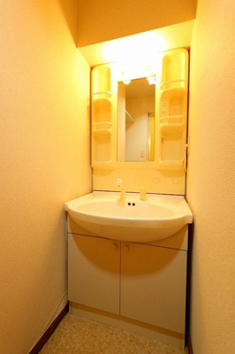 【洗面所】 | カーサアリエッタ大橋 | 別号室の写真になります。現況優先。