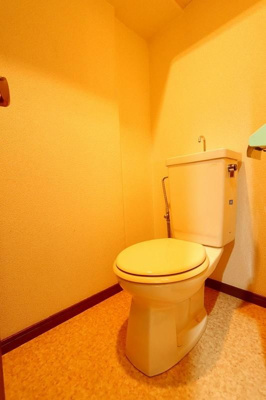 【トイレ】 | カーサアリエッタ大橋 | 別号室の写真になります。現況優先。