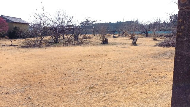 売地　小美玉市羽鳥の外観