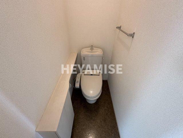 ニューハイツタリカドC棟のトイレ|※室内画像は別号室のもの
