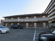 CasaSunshineの画像