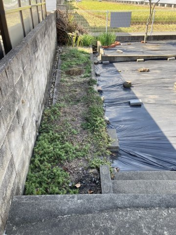 西条市北条1228-9.1228-10　土地の外観