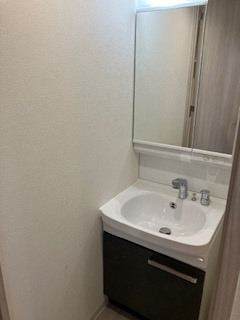 アドバンス神戸パーチェの洗面所