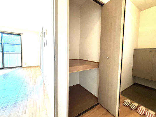 熊本市南区江越１丁目のアパートの収納