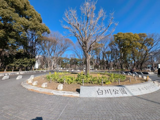サンクレイドル名古屋大須の周辺|白川公園