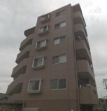 フォレスト愛子の画像