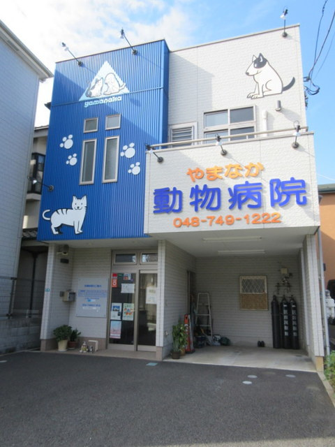 ラビアンローゼのその他|やまなか動物病院