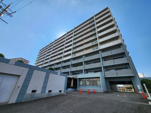 レックス・フェスタ野洲　10Fの外観