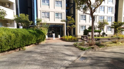 【庭】 | 芦屋浜第二住宅　第6-2号棟