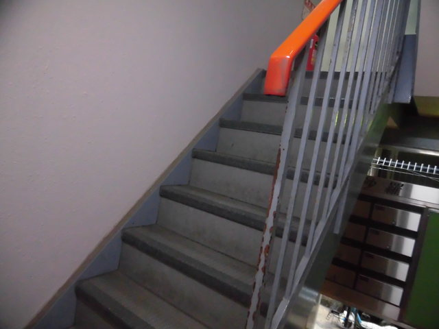 共用の階段部分です
