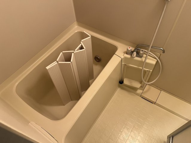  | フェリースオオイシ