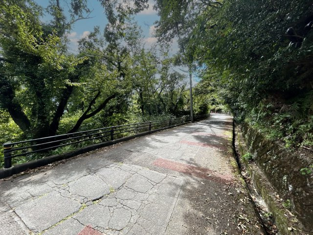 エンゼルフォレスト熱海自然郷⑬の前面道路含む現地写真