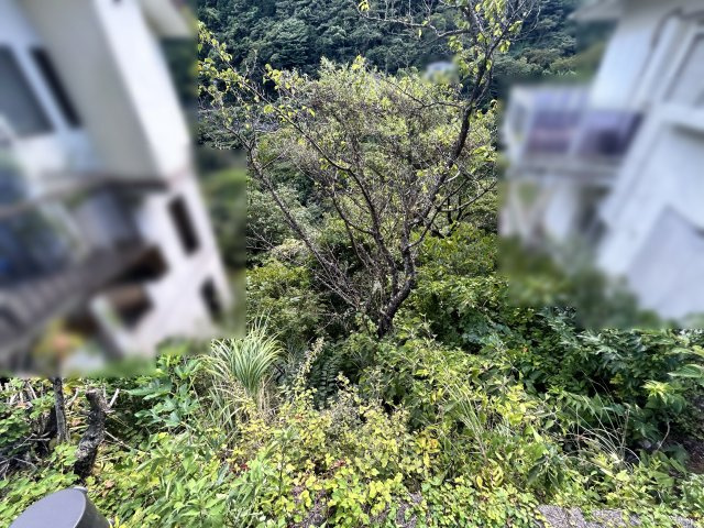 エンゼルフォレスト熱海自然郷⑯のその他
