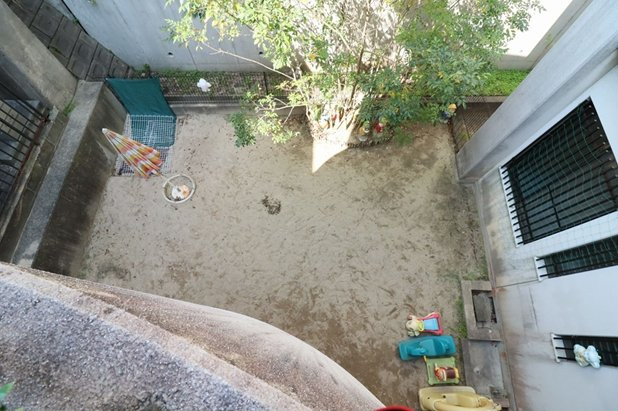 浄水町店舗事務所の庭