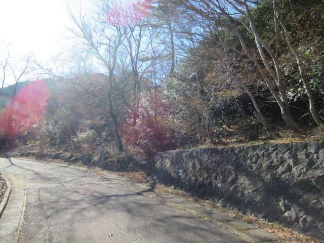 宇佐美みのりの村別荘地①の前面道路含む現地写真