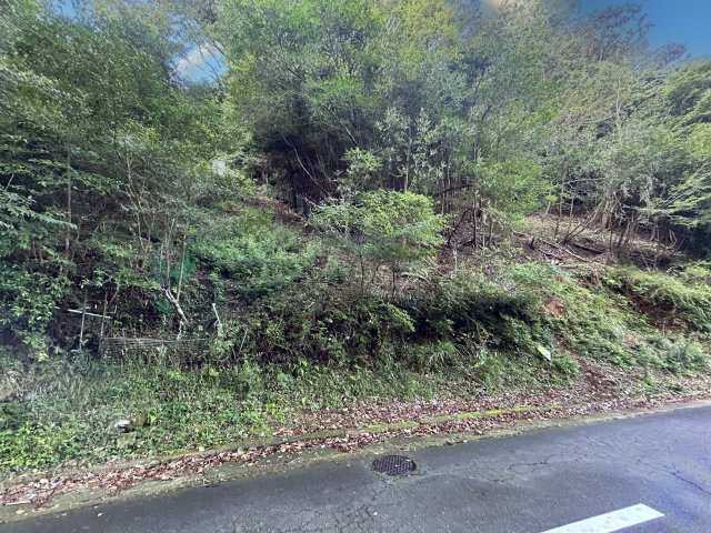 宇佐美みのりの村別荘地④の前面道路含む現地写真