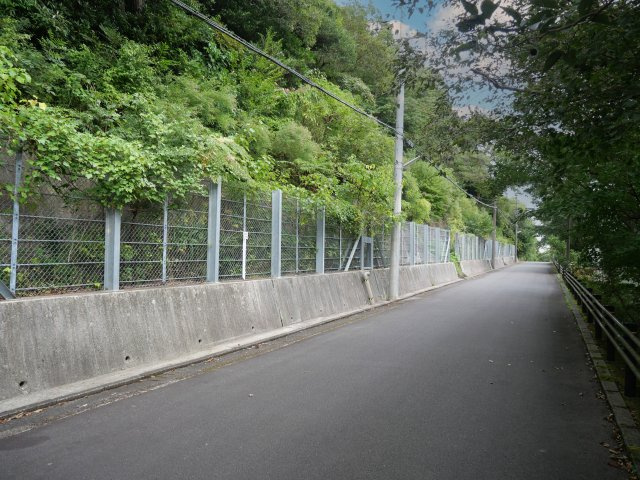 エンゼルフォレスト赤沢望洋台⑥の前面道路含む現地写真