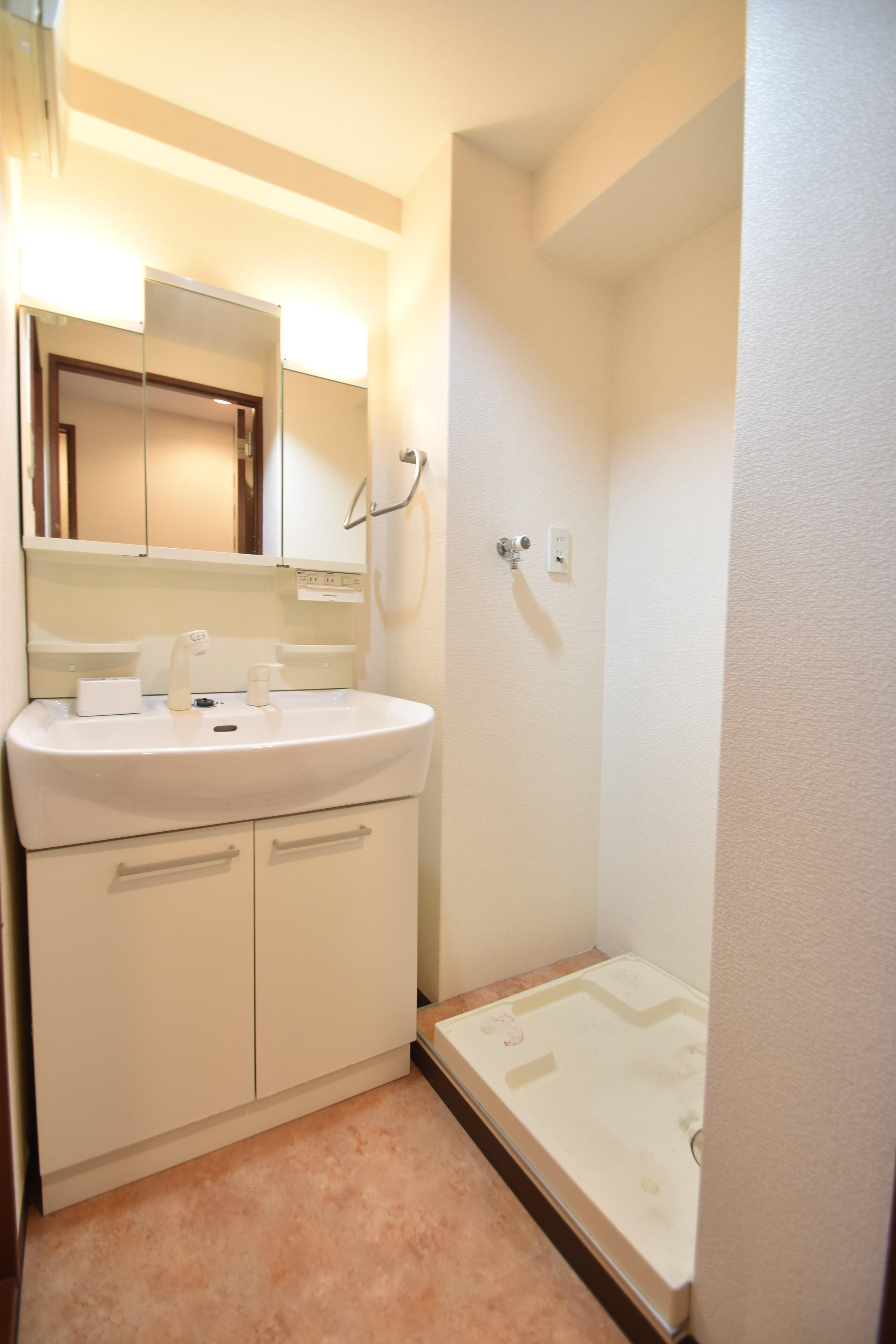 大阪市城東区野江２丁目の賃貸マンションの洗面所