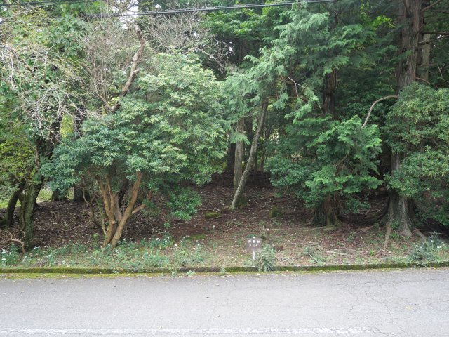 天城東急リゾート⑭