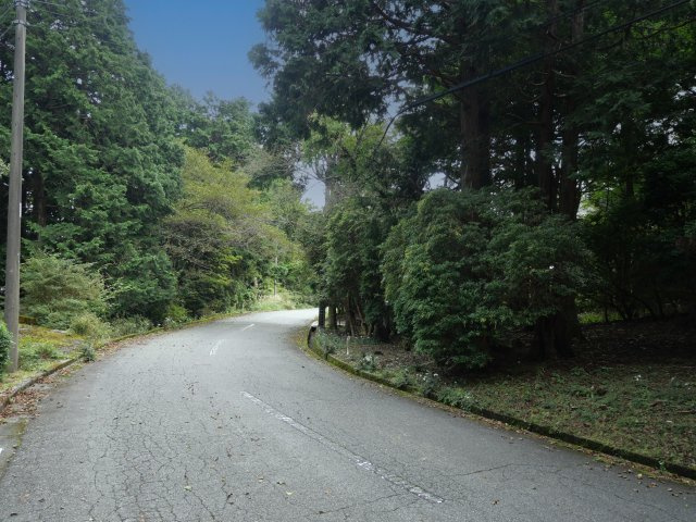 伊豆天城リゾート⑭の前面道路含む現地写真|（北東側）