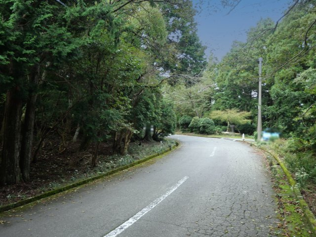 伊豆天城リゾート⑭の前面道路含む現地写真|（北東側）