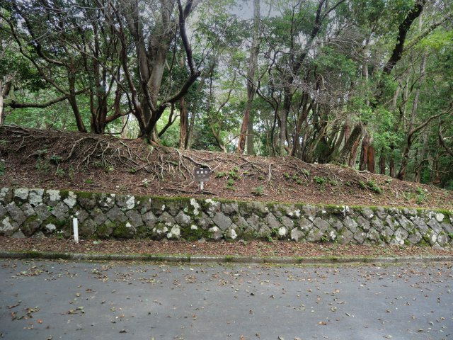 天城東急リゾート⑭の外観|（南西側）