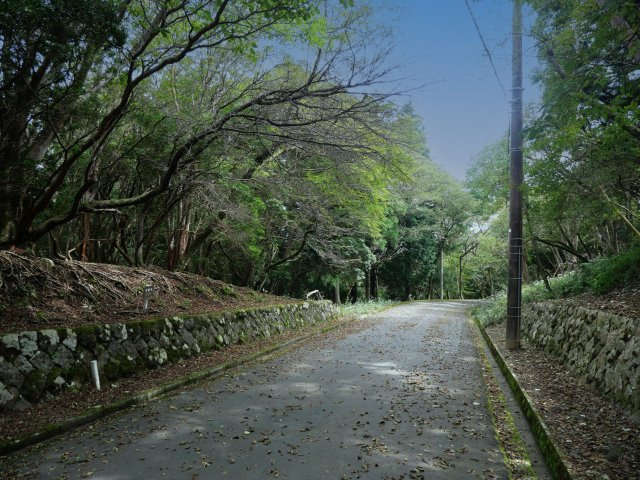 伊豆天城リゾート⑭の前面道路含む現地写真|（南西側）