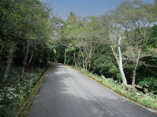 伊豆天城リゾート⑭の前面道路含む現地写真|（南西側）