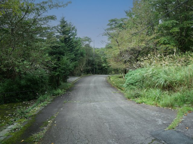 伊豆天城リゾート⑮の前面道路含む現地写真
