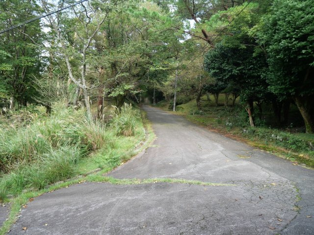 伊豆天城リゾート⑮の前面道路含む現地写真