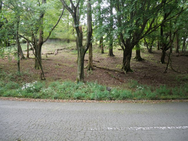 天城東急リゾート⑯