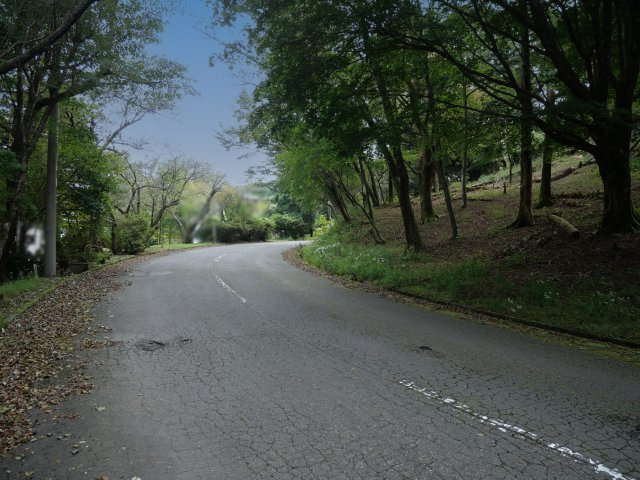 伊豆天城リゾート⑯の前面道路含む現地写真