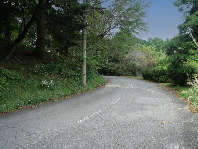 伊豆天城リゾート⑯の前面道路含む現地写真