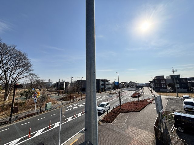 ルピナス・Kの展望
