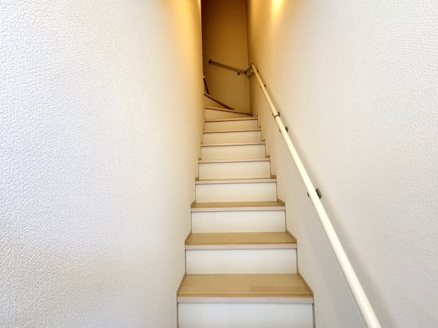 ルピナス・Kのその他