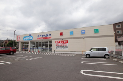 ウエルシア富士見鶴瀬駅西口店まで250ｍ