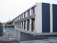 レオネクストカルミアオクイの画像