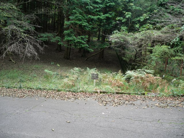 天城東急リゾート⑲