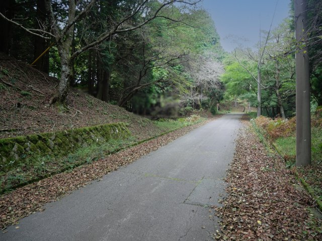 伊豆天城リゾート⑲の前面道路含む現地写真