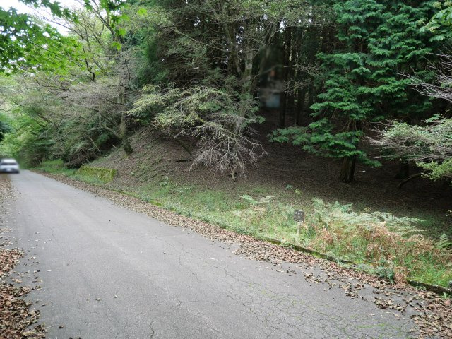 伊豆天城リゾート⑲の前面道路含む現地写真