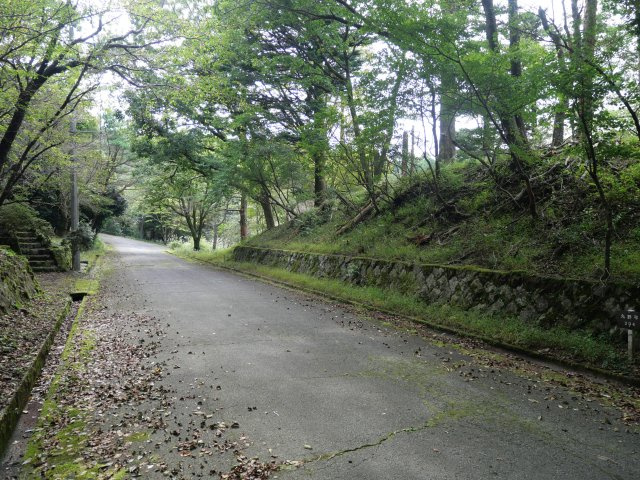 伊豆天城リゾート⑳の前面道路含む現地写真