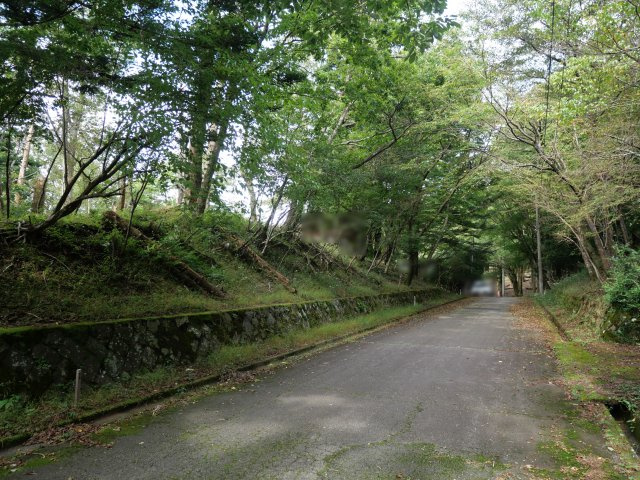 伊豆天城リゾート⑳の前面道路含む現地写真