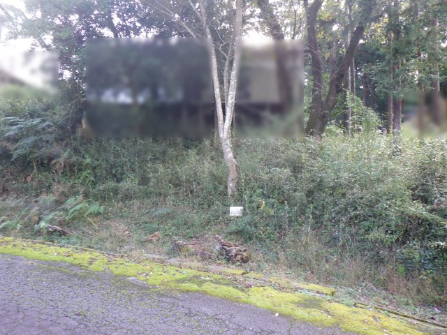 伊豆平パールタウン②の外観